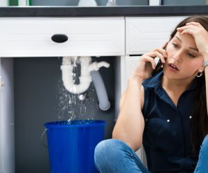 About Emergency plumbing pros Cedar Lake, IN